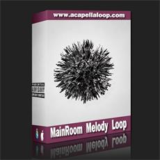 旋律素材/MainRoom Melody Loop